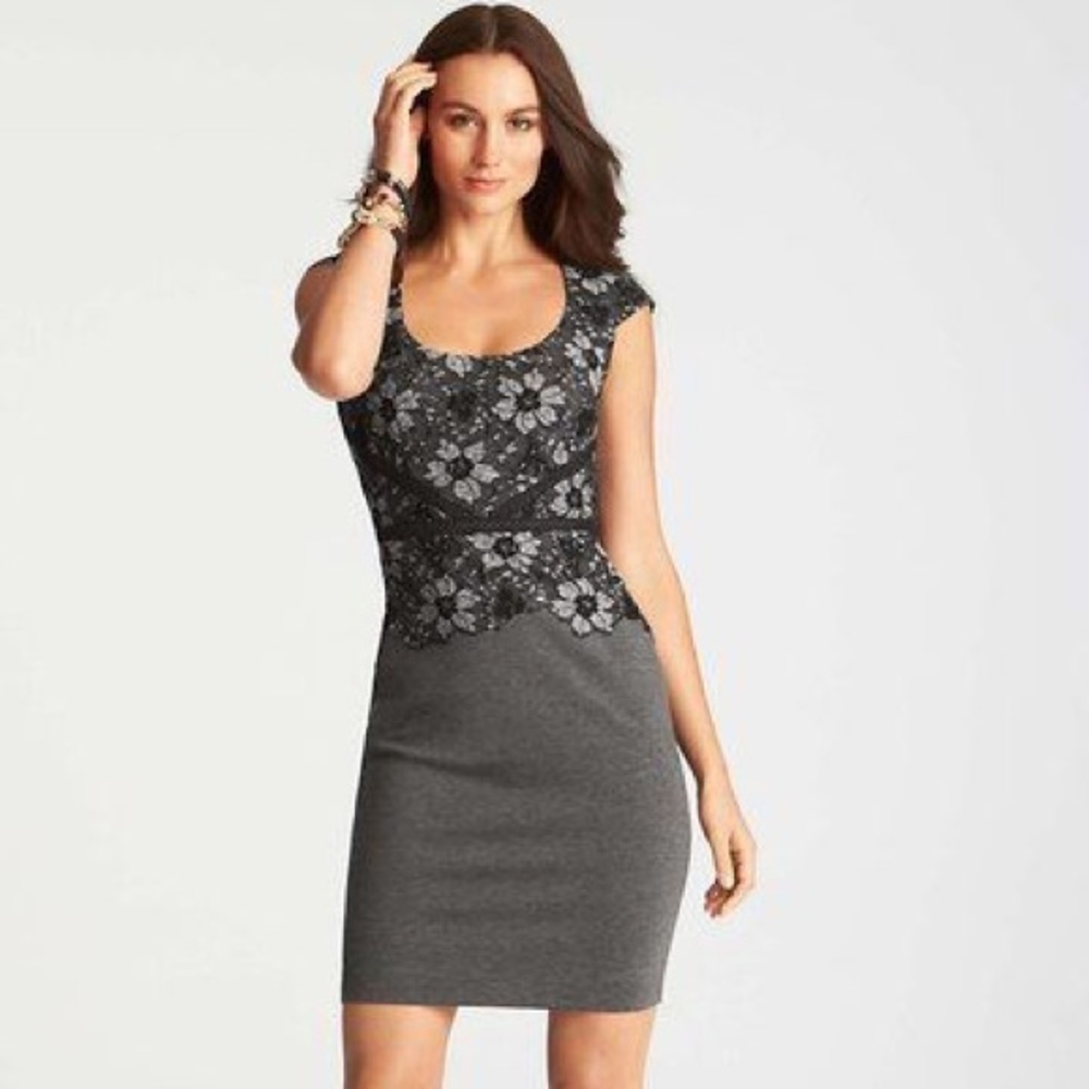 Ann Taylor ponte lace overlay dress black gray NEW